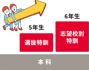 本 科→5年生選抜特訓→6年生志望校別特訓