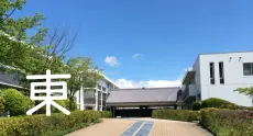 東