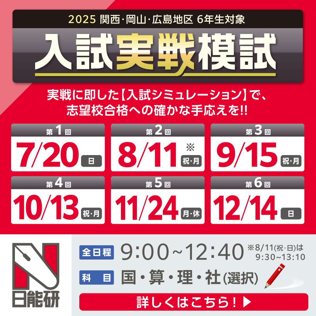 2024年度　日能研 6年生 公開模試（2024年2月〜12月） 11回分 日能研 6年生 2024年 全国公開模試 全11回 - メルカリ